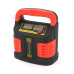 Автоматичне ЗУ для автоакумулятора WesunWell XX-005/010,12V/24V,3.6-20А мікропроцесор, LCD, клеми(AGM/Gel/Lead)