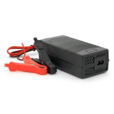 Зарядний пристрій Merlion для акумуляторів LiFePO4 24V(29,2V),8S,5A-120W.крокодили, BOX
