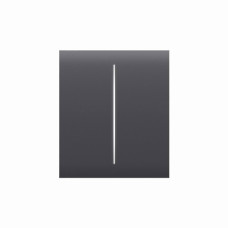 Центральна кнопка для двоклавішного вимикача Ajax CenterButton (2-gang) graphite