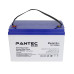 Акумуляторна батарея PANTEC100-12 GEL 12V 100 Ah (330 x 173 x 218), 30.4 kg Grey Q1/48