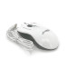 Миша провідна JEDEL M31, White, Q100