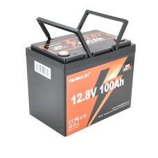 Акумуляторна батарея YEAGULCH Mini LiFePO4 12,8V 100Ah 1280Wh, BMS-100A, (246 x 187 x 197) , M8, 12.9kg Q1